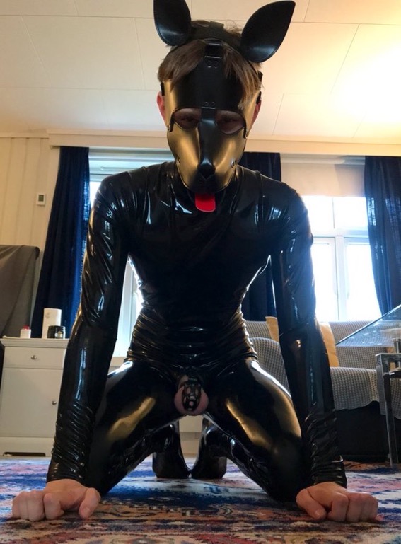 Pupfido's profile image