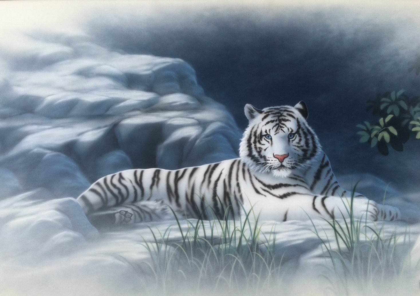 Curious's profile image