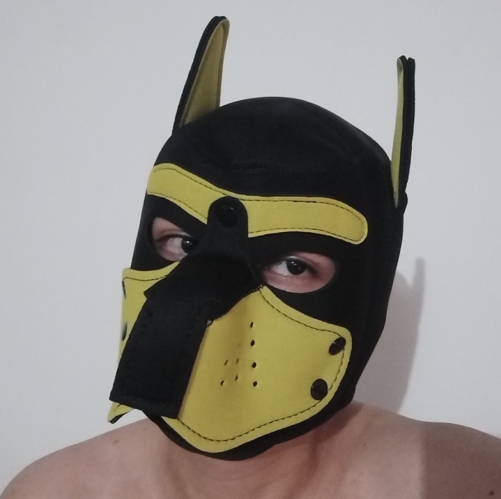 Ferdi profile image